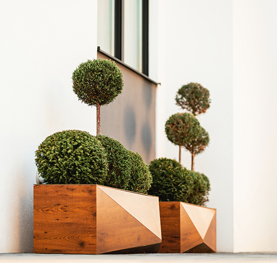 Sols: vormsnoei, grote bomen, en nog zoveel meer...